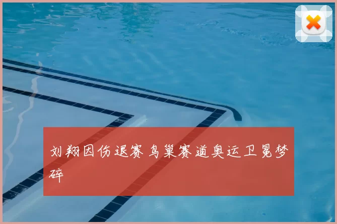 刘翔因伤退赛鸟巢赛道奥运卫冕梦碎