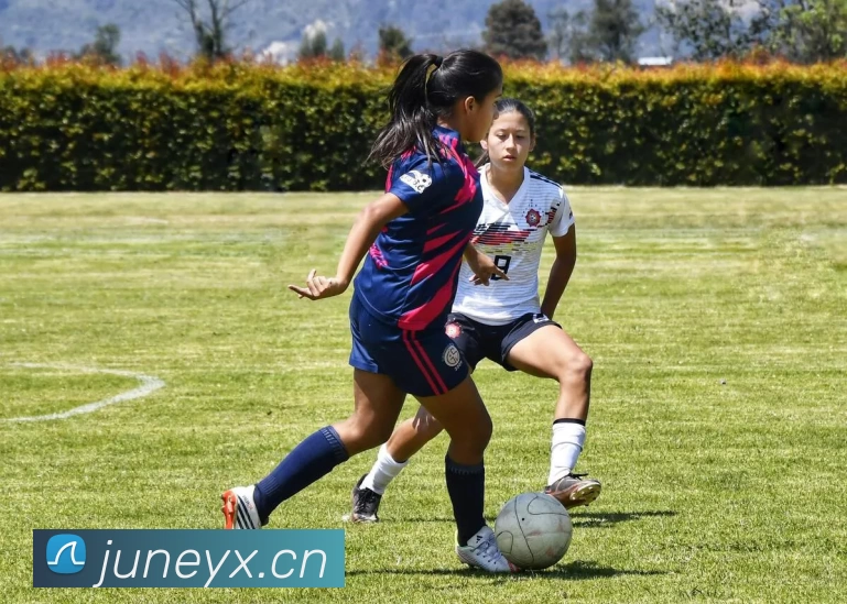 九游j9官网入口老版本品牌故事